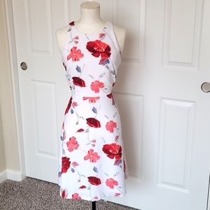 NWOT Banana Republic Dress